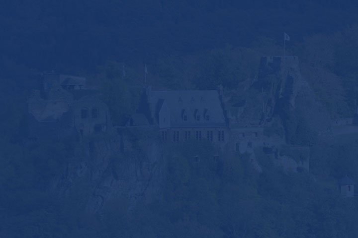 Schloss Veldenz - Website